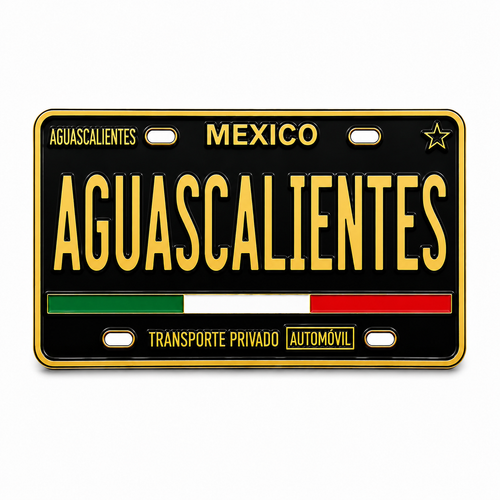 aguascalientes-mexico-license-plate-black-gold-enamel-pin