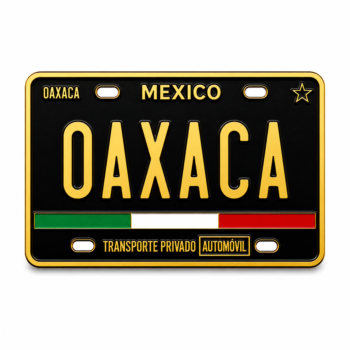 oaxaca-mexico-license-plate-black-gold-enamel-pin