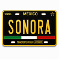 sonora-mexico-license-plate-black-gold-enamel-pin